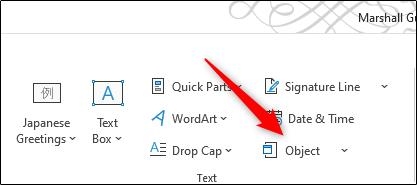 Hướng dẫn cách chèn tệp PDF vào tài liệu Microsoft Word